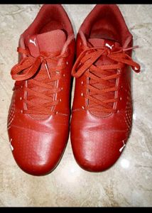 Puma Ferarri Model Shoes