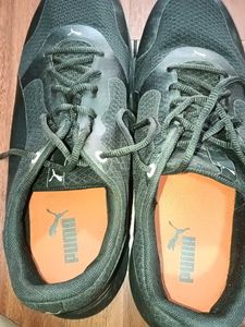 Puma Shoes