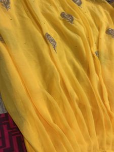 Beautiful Embroidered Ethnic Skirt