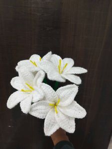 Viral Crochet Lilly 🤍