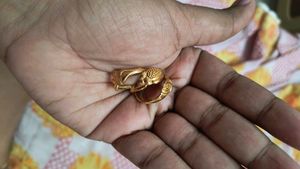 Ring Gold