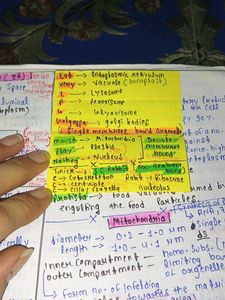 Handwritten Biology Notes