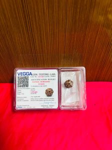 8mukhi rudraksha original