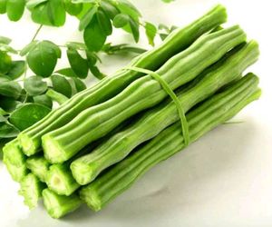 Vegetables Seeds @ ₹20