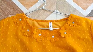 Georgette Crop Top: Sheer dot Design, Trendy Bell