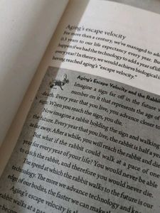 Ikigai: The Japanese Secret to a Long and Happy Li