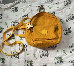 Thrifted KIPLING Bag