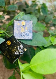 Black And Blue Set Of 2 Resin Earrings New