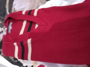 Dav Public School Sweater