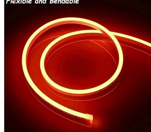 Neon Led Orange Colour 1mtr