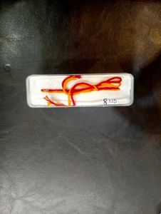Rudraksh Rakhi Pure Silver