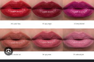 Maybelline Spicy Mauve Shine Lipstick 065