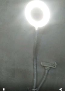 Ring Light with Stand