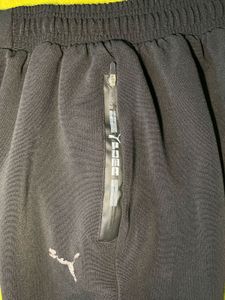 Cozy &amp; Fresh Unisex Joggers for Sale!