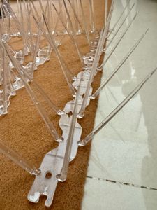 Anti-Pigeon Spikes
