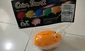 Piggy Bank/Coin Bank