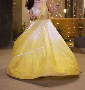 Embroidered Lehenga Choli Set