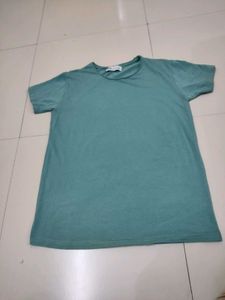 Men&#39;s T-shirt Zara Brand