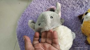 Combo Of Two Cute Toys