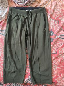 Olive Green Jogger Pants on Display