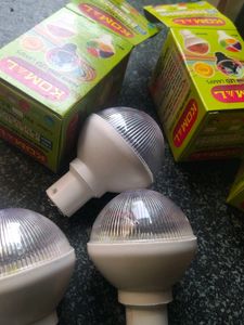 Bulbs Multi Color