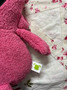 👻 SoftToy