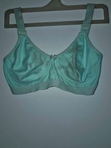 Comfortable Blue Bra