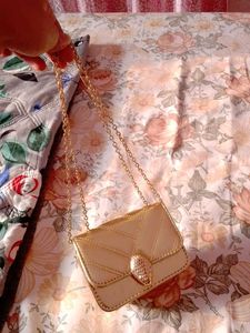Gold Chain Clutch