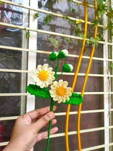 Crochet Daisy Flower
