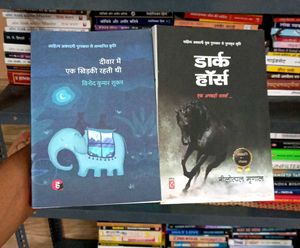 🐎Hindi Literature Fiction Book Bundle