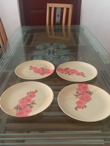 4 PCS PLATES