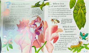 Spiders Spin Webs/ I Wonder Why Children Book