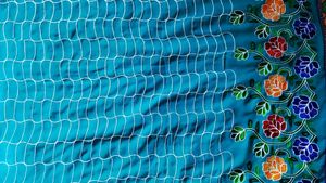 Embroidered Saree