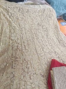 Gold Embroidered Lehenga Choli