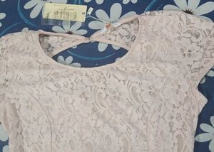 Backless Peach Lace Body fitting Dress
