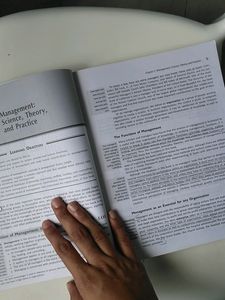 Essentials of Management (10e)