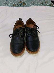 Tiger Hill Black Casual Shoes