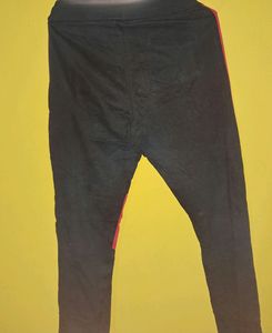 Jogger Pant🎉Free Delivery 🎉