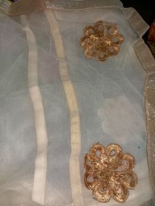 Cream Colour Net Dupatta