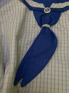 Lucknow Public school top