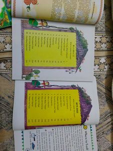 Std 2 And 3 Ncert Books