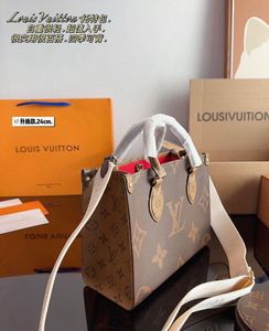 LV Bag