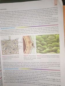 Science Class 10 Set Of 3