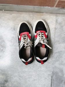 shoe