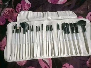 brush sets &amp; kits 24 count (pack of 1)