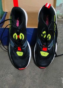 Mens Sports Shoes 👟