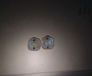 Pair of earrings