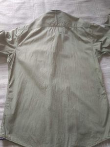 Olive Mens Shirt