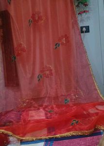 Floral Organza Dupatta hand painted