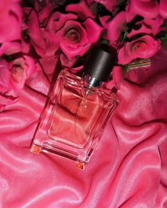 Hermes Terre Eau De Toilette Perfume